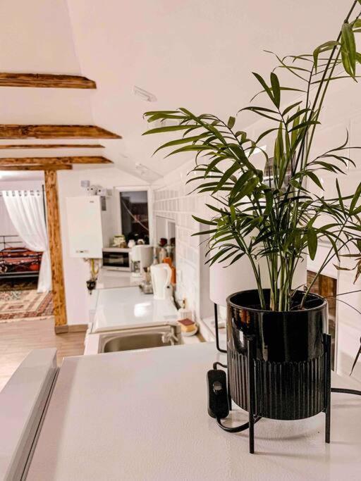 Apartamento Yard Studio Rasnov Exterior foto
