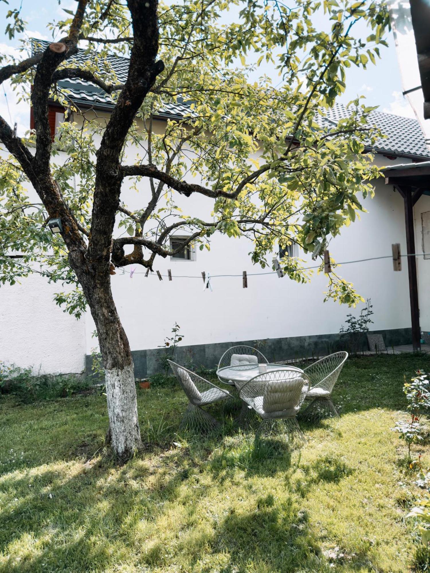 Apartamento Yard Studio Rasnov Exterior foto