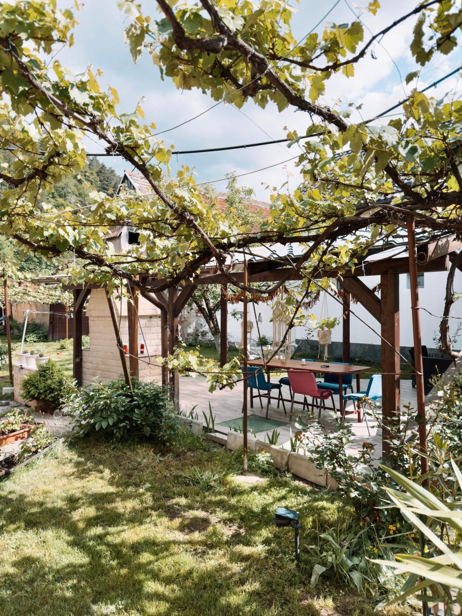 Apartamento Yard Studio Rasnov Exterior foto