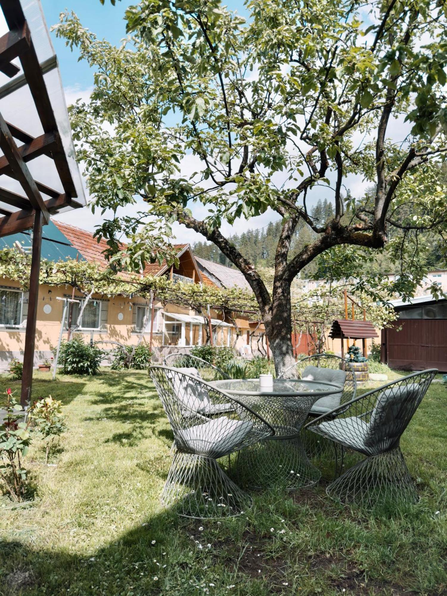 Apartamento Yard Studio Rasnov Exterior foto