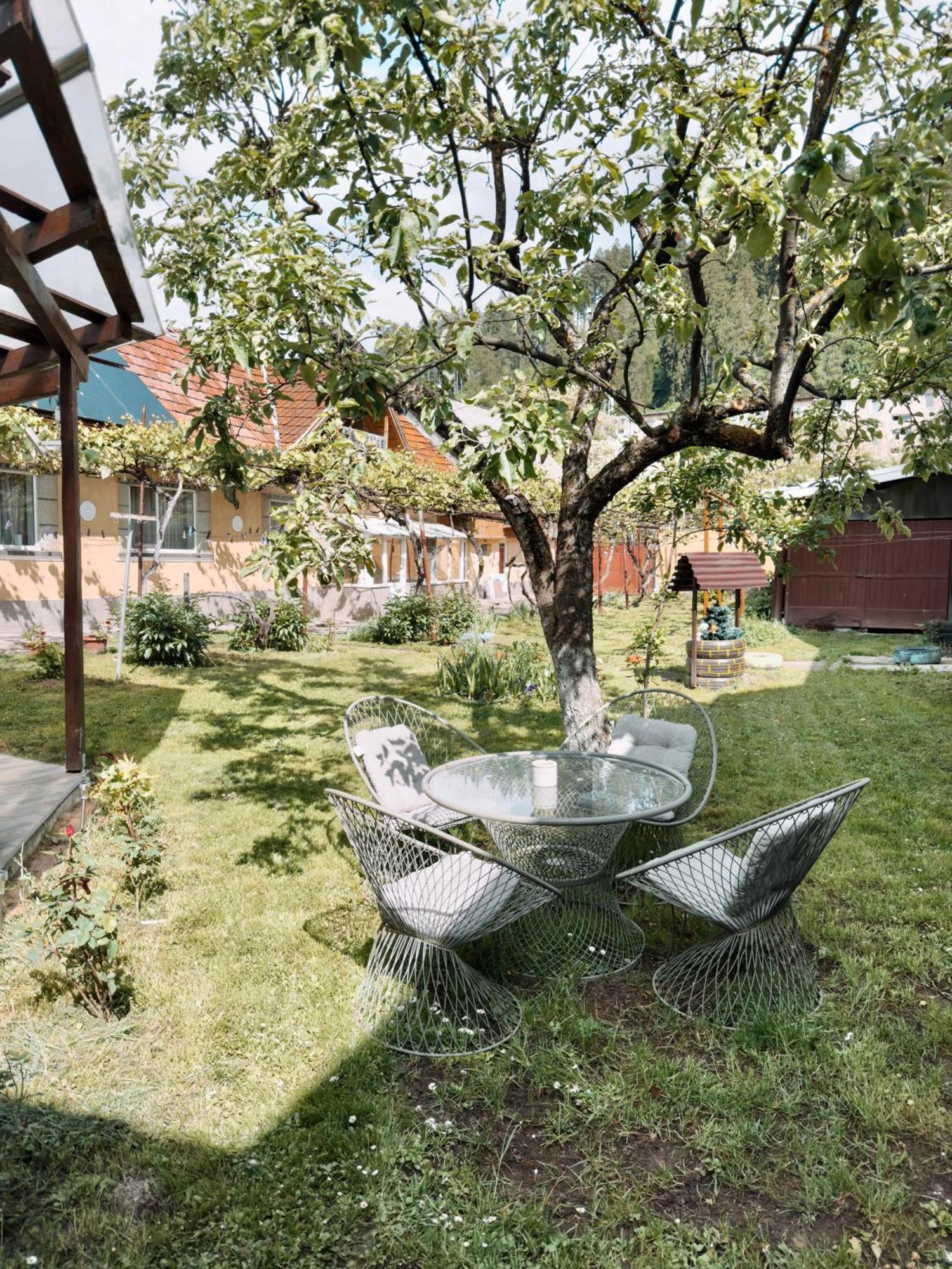 Apartamento Yard Studio Rasnov Exterior foto